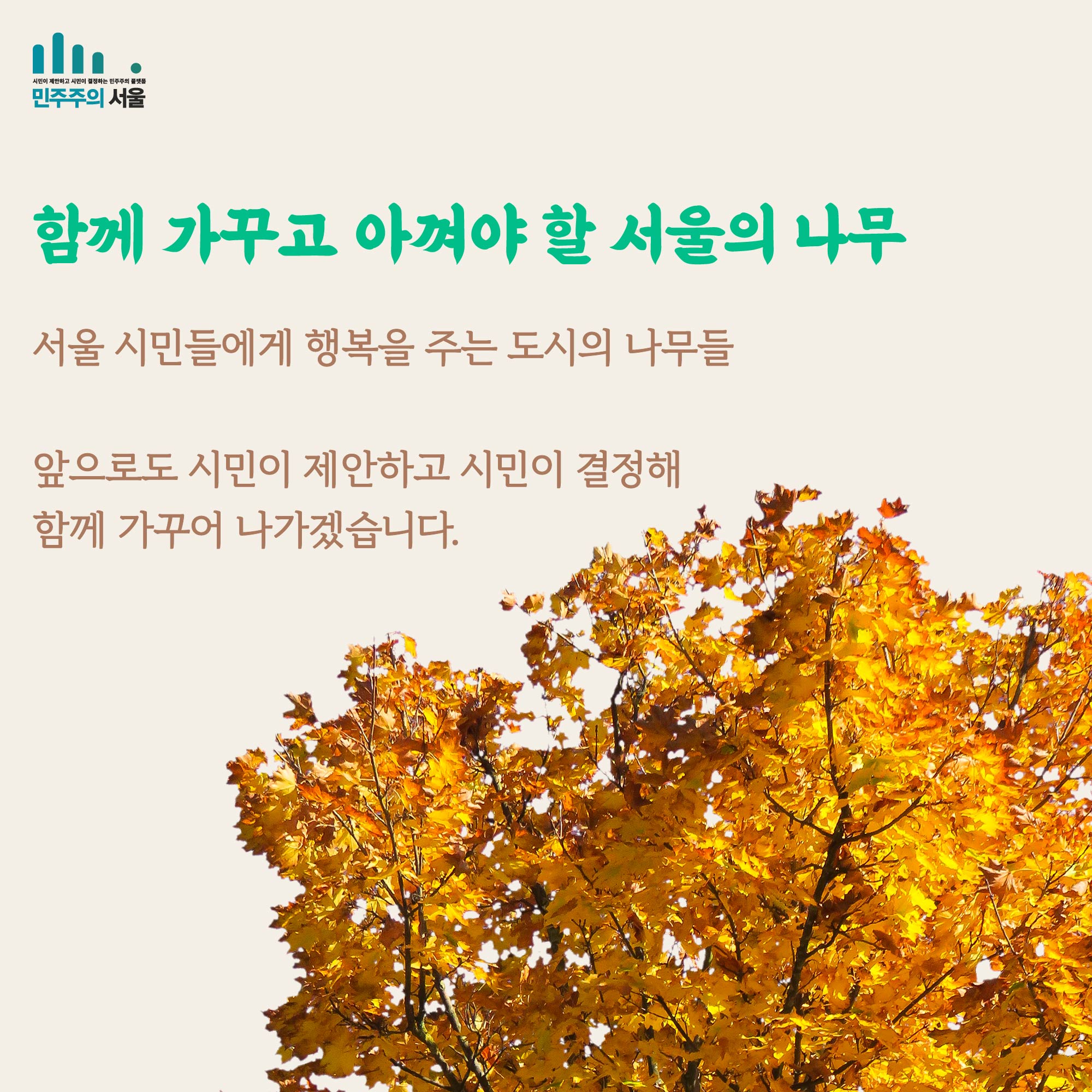 함께 가꾸고 아껴야 할 서울의 나무 서울 시민들에게 행복을 주는 도시의 나무들 앞으로도 시민이 제안하고 시민이 결정해 함께 가꾸어 나가겠습니다.